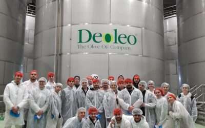 Deoleo y Fundación Cruzcampo forman a 60 futuros hosteleros en el proceso de elaboración del aceite de oliva